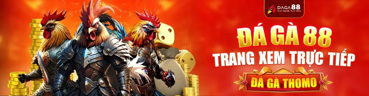 OKCHOI Chính Thức Hỗ Trợ Khách Hàng 24/7