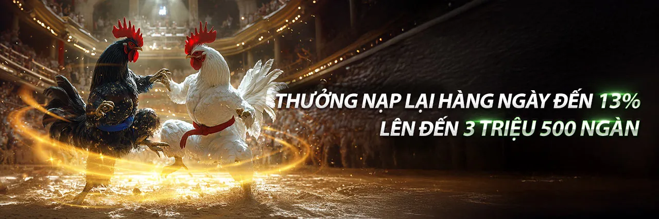 Tin tức mới nhất từ OKCHOI chính thức
